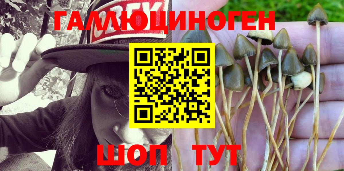 где можно купить   Галлюциногенные грибы GOLDEN TEACHER  Вход с VPN  Сокол 