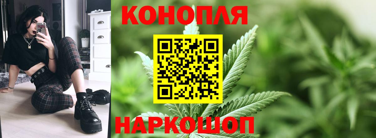 Сокол  Канабис ГИДРОПОН  Шишки марихуана сатива  МАРИХУАНА гибрид  Вход с VPN 